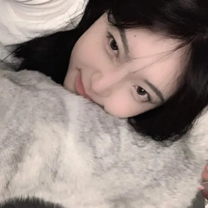 塔斯马尼亚恶魔